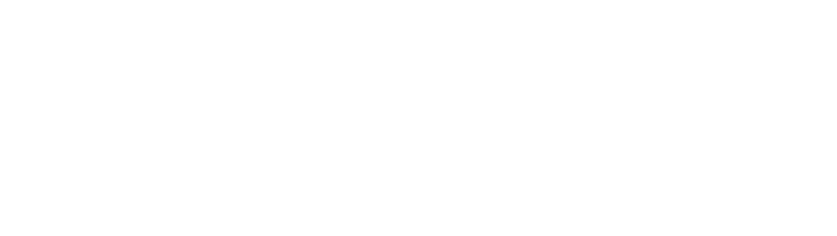 Schumacher Used White Logo