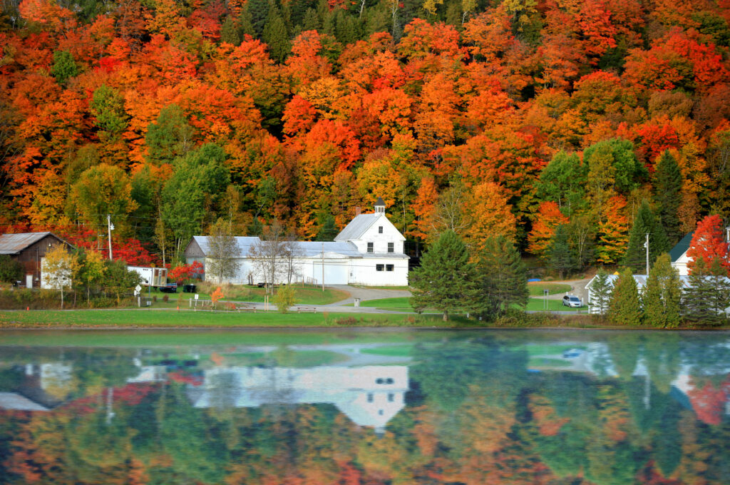 Used Car for Sale in denville